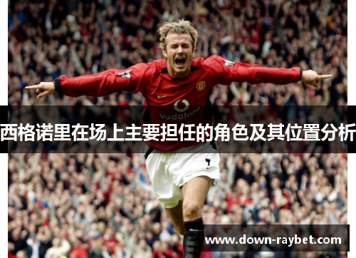 西格诺里在场上主要担任的角色及其位置分析 西格诺里在场上主要担任的角色及其位置分析