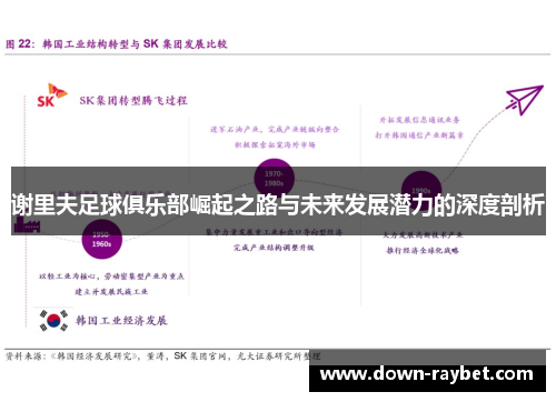 谢里夫足球俱乐部崛起之路与未来发展潜力的深度剖析