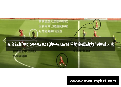 深度解析里尔夺得2021法甲冠军背后的多重动力与关键因素