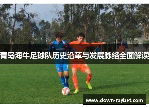 青岛海牛足球队历史沿革与发展脉络全面解读