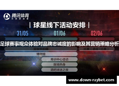 足球赛事观众体验对品牌忠诚度的影响及其营销策略分析