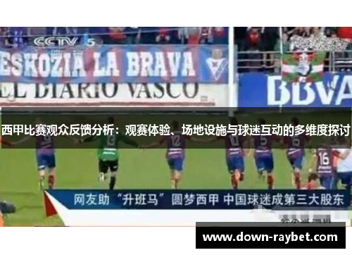 西甲比赛观众反馈分析：观赛体验、场地设施与球迷互动的多维度探讨