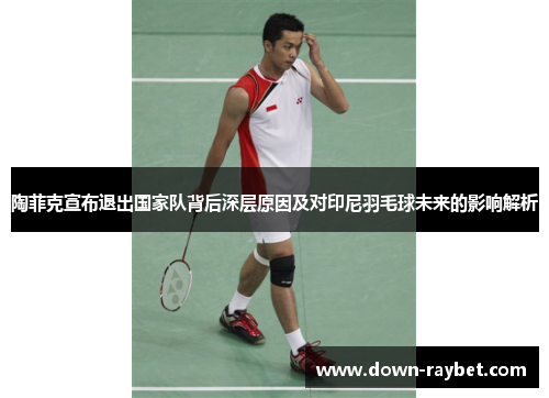 陶菲克宣布退出国家队背后深层原因及对印尼羽毛球未来的影响解析