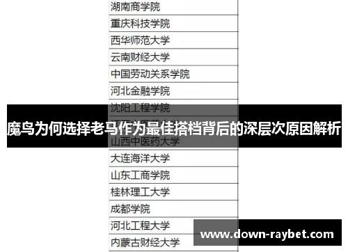魔鸟为何选择老马作为最佳搭档背后的深层次原因解析